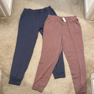 Eddie Bauer Ladies' Jogger, 2-pack, Blue and Tan, Medium